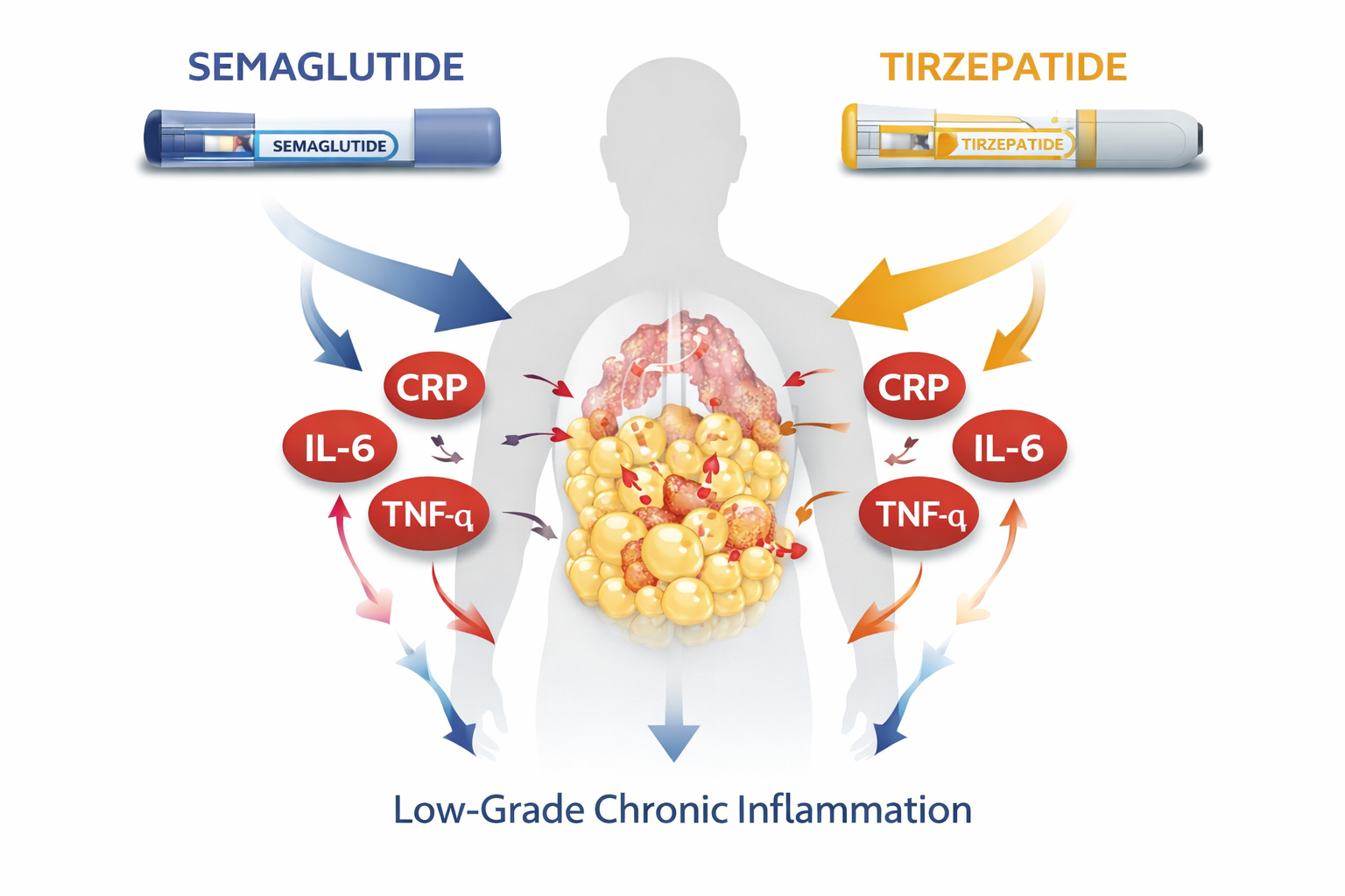 infiammazione cronica di basso grado e obesità